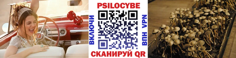 Псилоцибиновые грибы GOLDEN TEACHER OMG вход Серов