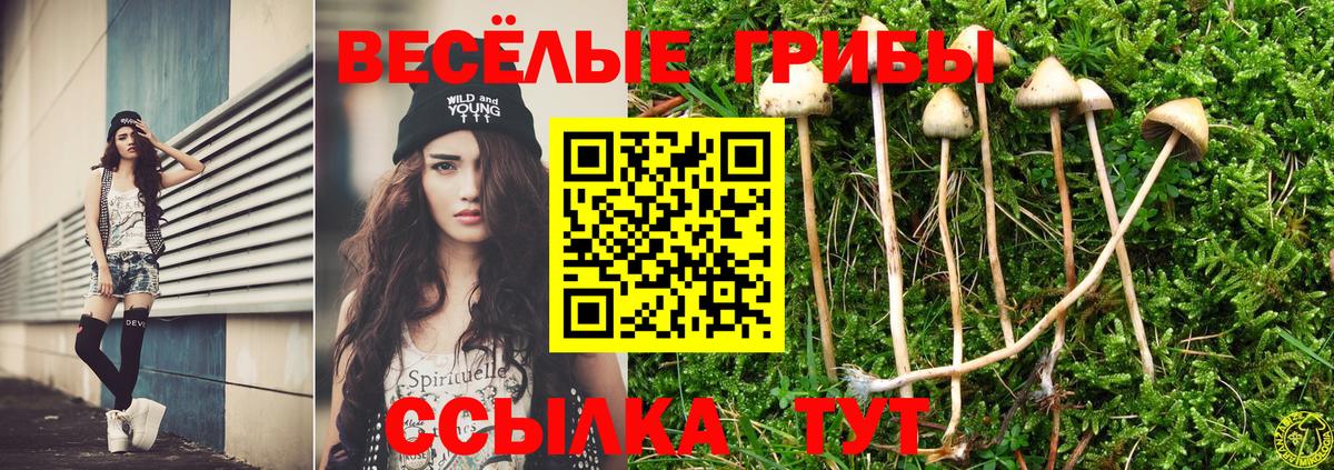 купить наркотик  Псилоцибиновые грибы мухоморы  Вход с VPN  Серов 